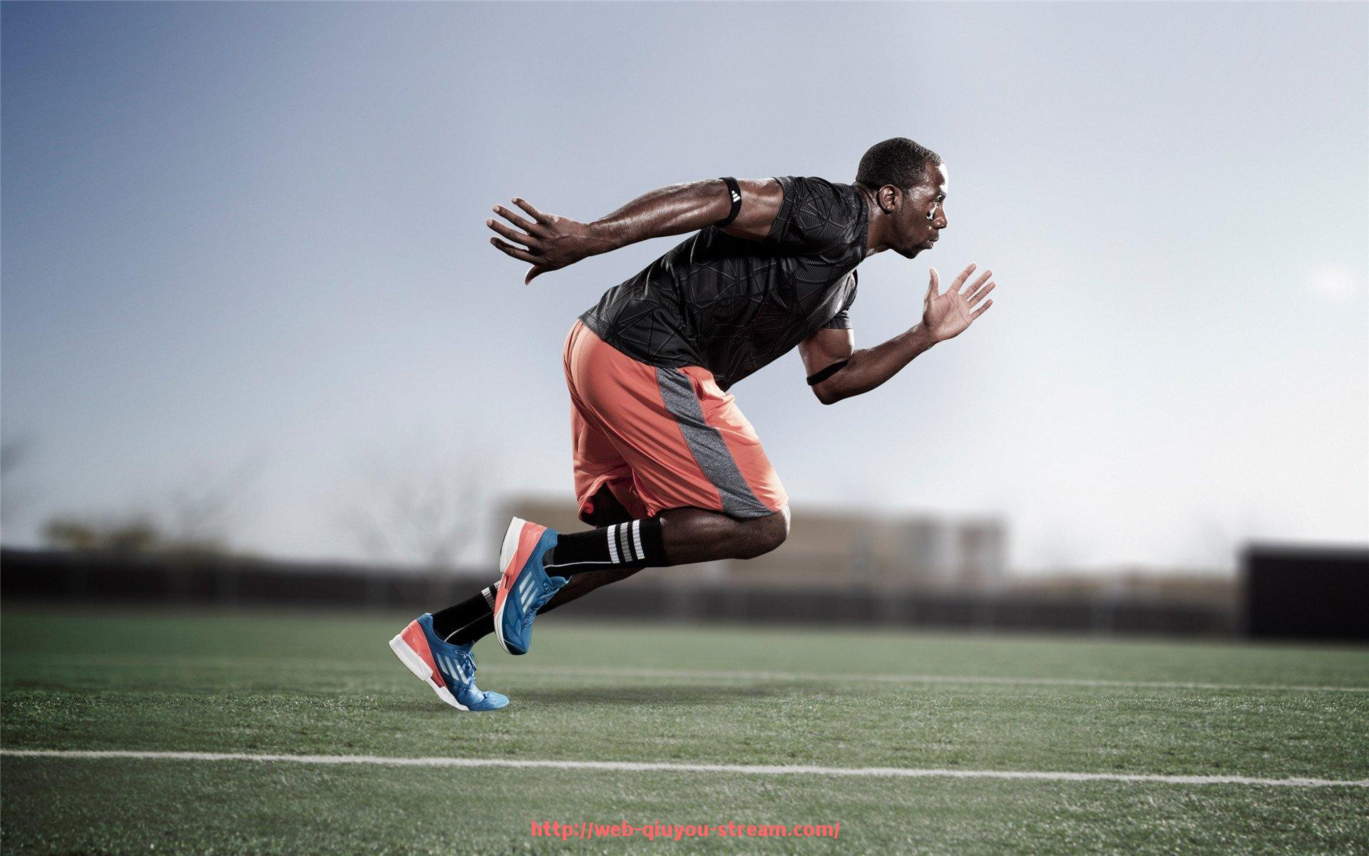 球友体育直播-力量训练所需的健身器材推荐