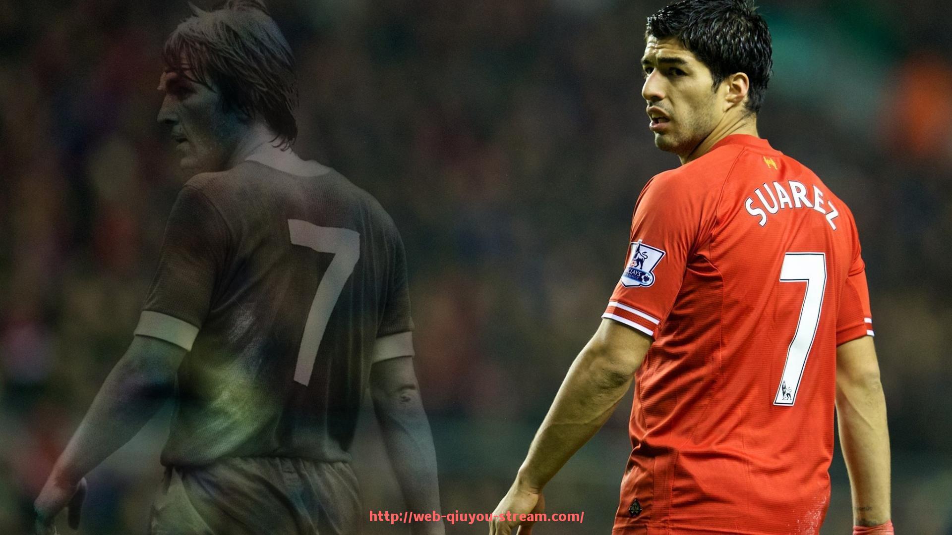 球友体育直播-力量训练所需的健身器材推荐