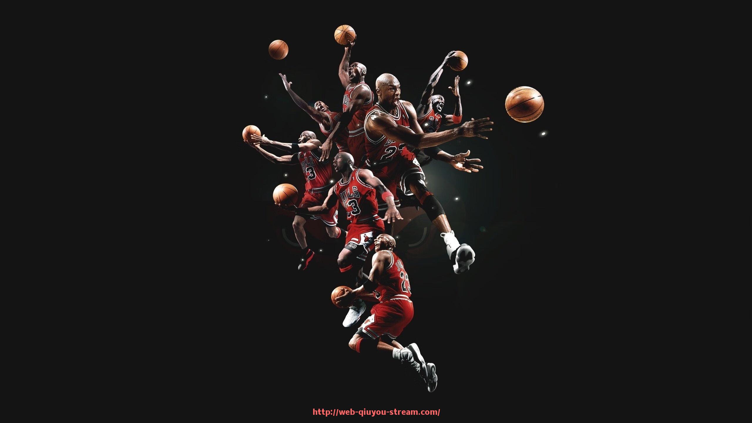 球友体育直播-宁波地区热门室内健身器材品牌与选购指南